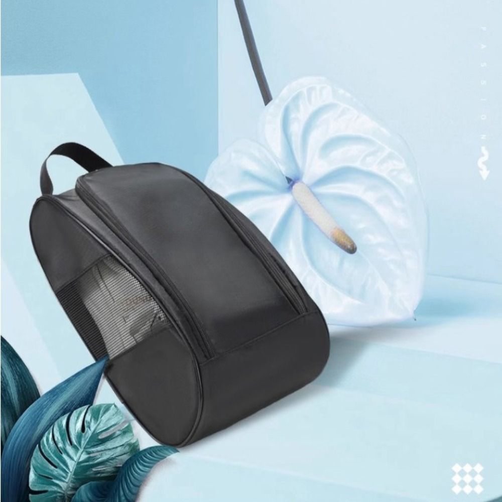 حقيبة حمل أحذية جديدة محمولة ب - مراجعة Handbags وسعره